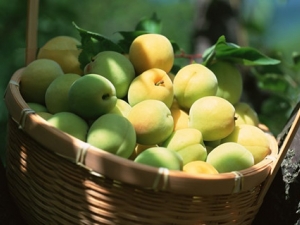 ���ӵ�Ӫ����ֵ��ʳ�ù�Ч