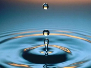 ˮ��ʲôӪ����ֵ