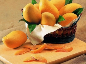 â������ʮ�ַḻ��Ӫ����ֵ