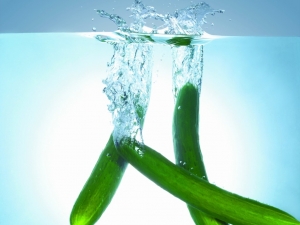 �ƹ϶����ǵ�������ʲô�ô���