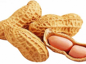 ������Ӫ����ֵ�ܸ�