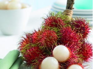 ��ë����Ӫ����ֵ