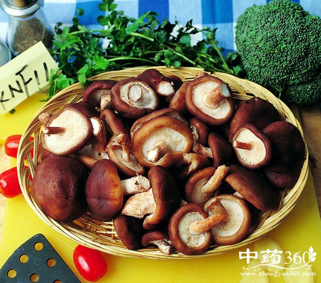 香菇的营养价值
