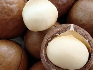 ���˽������Ĺ���Ӫ����ֵ��