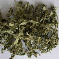 ���ܷ纮���µĿ���ƫ��