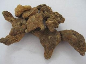 ��ҩ�����ߵĹ�Ч������