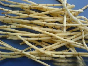 é���Ĺ�Ч������