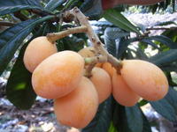 ���˵Ĺ�Ч������