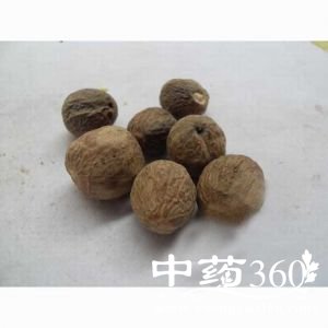 <a href='https://www.zhongyao360.com/z/doukou/' target='_blank'>豆蔻</a>的功效与作用