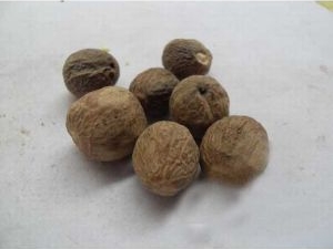 ��ޢ�Ĺ�Ч������