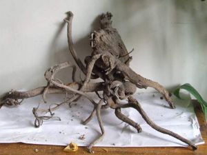 ��ҩ��½�Ĺ�Ч������