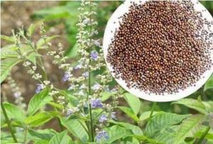 �ƾ��ӵĹ�Ч������