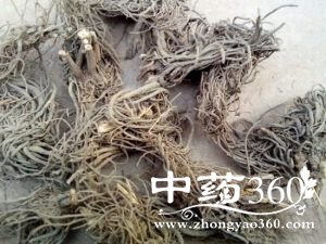 <a href='https://m.zhongyao360.com/z/gaoben/'>޻</a>ĹЧ