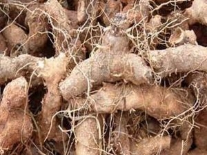 �ƽ��Ĺ�Ч������