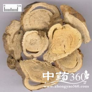 <a href='https://www.zhongyao360.com/z/kushen/' target='_blank'></a>ĹЧ