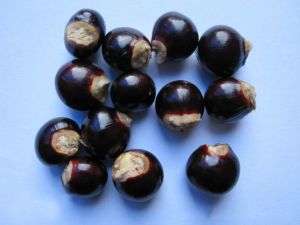 ���ۺ˵Ĺ�Ч������