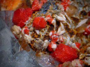 ����ɮ�Ĺ�Ч������