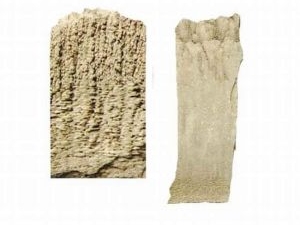 ���а׵Ĺ�Ч������