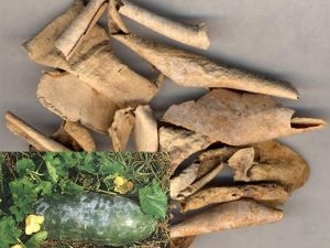 ����Ƥ�Ĺ�Ч������