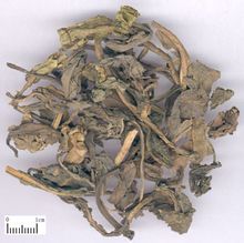 ����Ҷ�������빦Ч