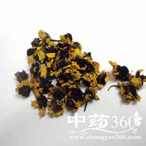 ѩ<a href='https://www.zhongyao360.com/z/juhua/' target='_blank'>�ջ�</a>�Ĺ�Ч������