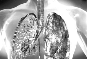 ������ƫ��