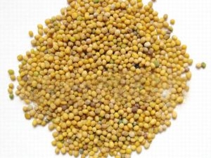 �׽��ӵĹ�Ч