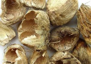 ��Ƥ�Ĺ�Ч������