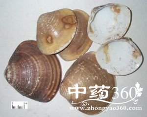 <a href='https://m.zhongyao360.com/z/haigeke/'></a>ĹЧ