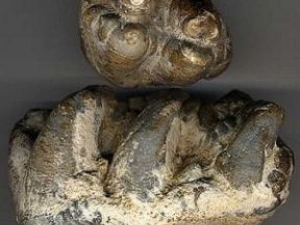 ���ݵĹ�Ч������