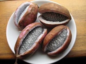 �������Ĺ�Ч������