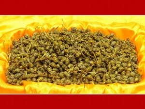 ��ɽʯ���Ĺ�Ч