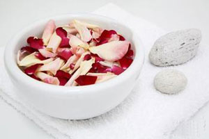 ������Ȼ���ݵ���ʳ����