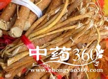 <a href='https://m.zhongyao360.com/z/wuzhimao/'>ָë</a>