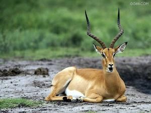 ����ǵĹ�Ч������