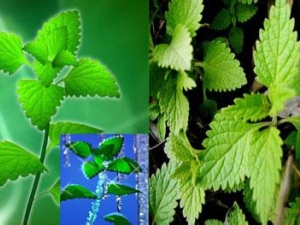 ����ݵĹ�Ч������