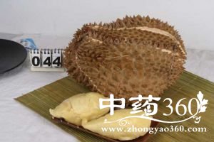 【海参】_榴莲的营养价值