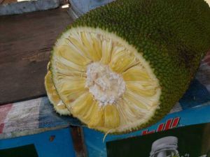 �����۵�Ӫ����ֵ