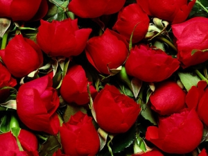 õ�廨�Ĺ�Ч������