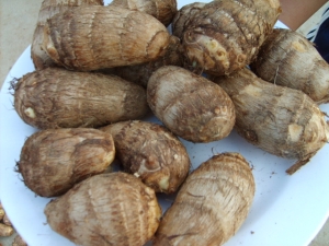 ��ͷ�Ĺ�Ч������