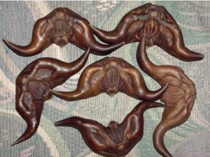 ��ǵ�Ӫ����ֵ