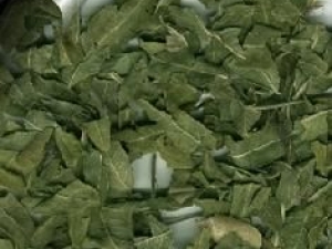 �޲���Ҷ�Ĺ�Ч������