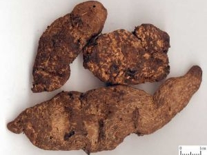 ���صĹ�Ч������