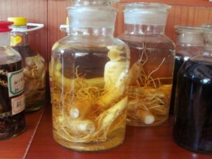 �ʺ����������õ�����ҩ��