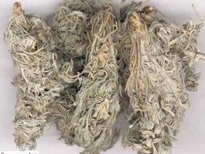 ��µĹ�Ч������