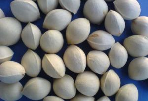 ���ӵĹ�Ч������