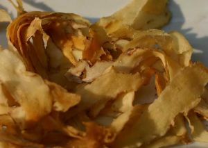 ����Ĺ�Ч������