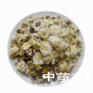 <a href='https://www.zhongyao360.com/z/juhua/' target='_blank'>菊花</a>的功效与作用