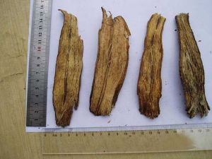 ���ϵĹ�Ч������