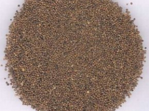 ���ӵĹ�Ч������